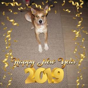 Meet your Posher, Renee